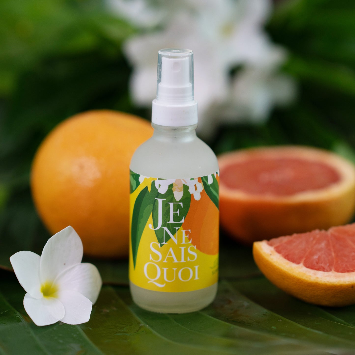 JE NE SAIS QUOI MIST 4oz