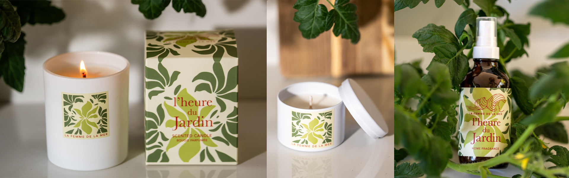 Candles and scents collection